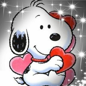 Meet your Posher, Lee ann